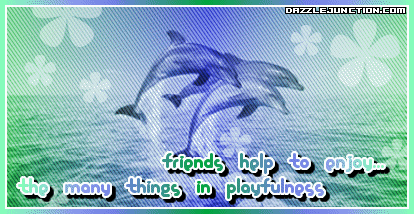 Friendship 228