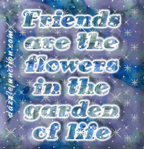 Friendship 24