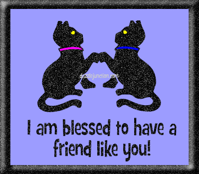 Friendship 33