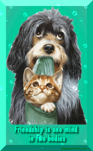 Friendship 4