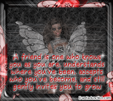 Friendship 66