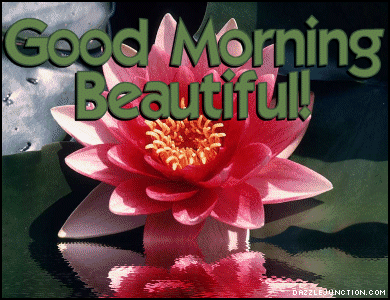Beautiful Flower Morn quote