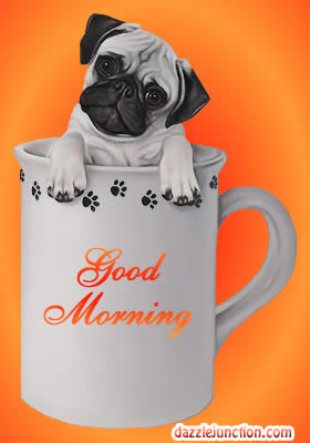 Dog In Cup quote