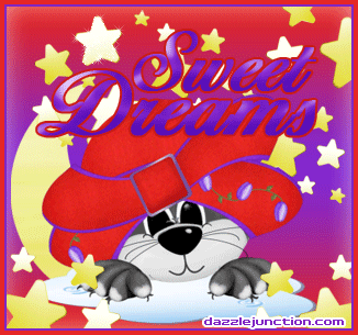 Sweet Dreams Cat quote