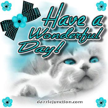 Wonderful Day Cat Dj quote