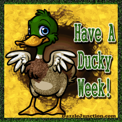 Week Ducky quote