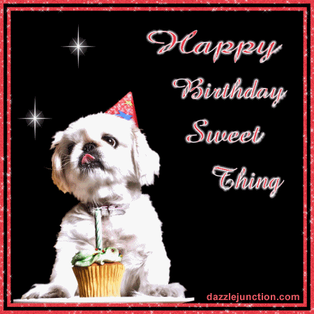 Dog With Cupcake
