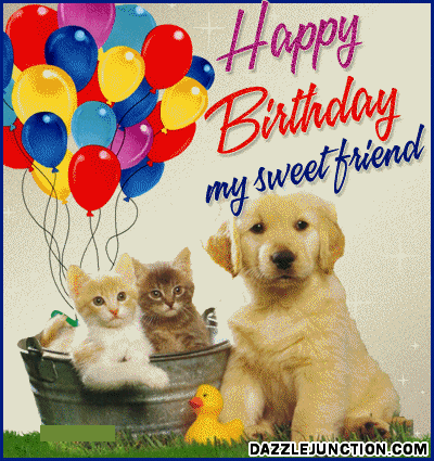 Kitten Puppy Friends