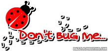 Dont Bug Me quote