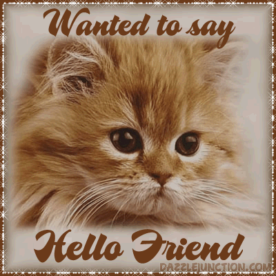 Cat Hello Friend quote
