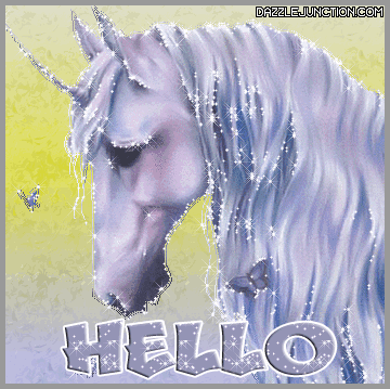 Hello Unicorn quote