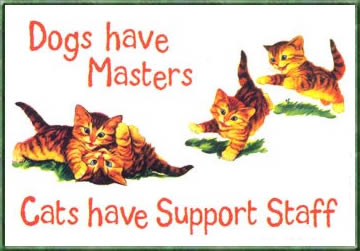 Dog Master Cat Support quote