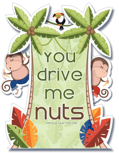 Drive Me Nuts quote