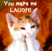 Make Me Laugh