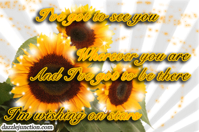 Miss You