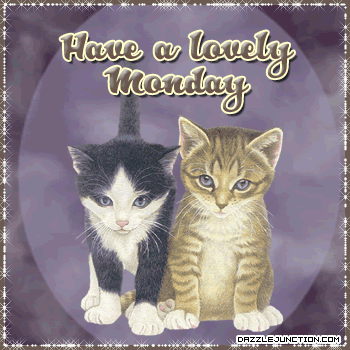 Cat Lovely Monday quote