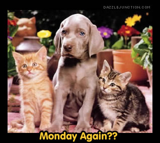 Monday