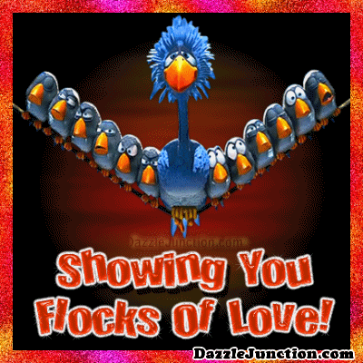Flocks Of Love quote