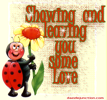 Ladybug Leaving Love quote