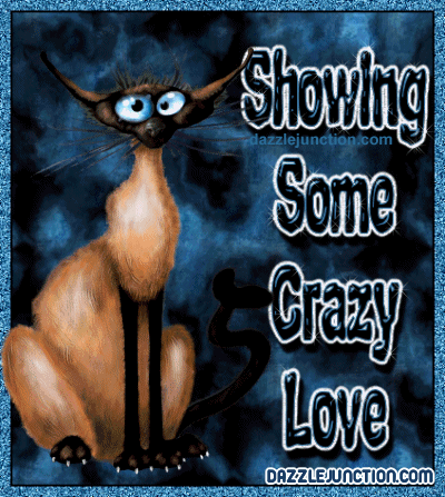 Showing Love Crazy Cat quote