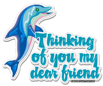 Thinking  Dolphin quote