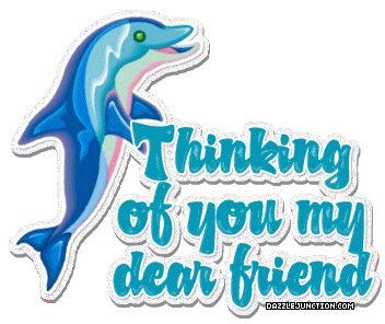 Thinking  Dolphin