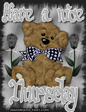 Bear Nice Thursday quote