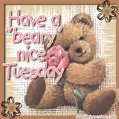 Beary Nice Tues Flower quote