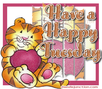 Have Happy Tues Cat