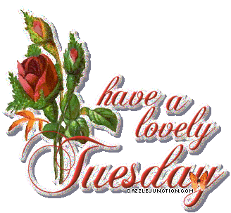 Tuesday