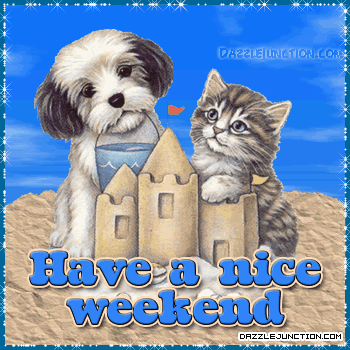 Cat Pup Weekend