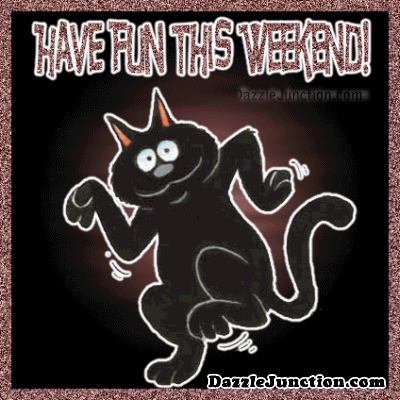 Fun Weekend Cat