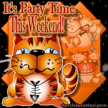 Weekend Party Cat Dj