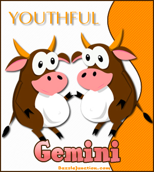 Gemini Cow Picture for Facebook