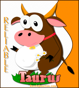Taurus Cow Picture for Facebook