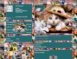 Cute Kitty Cat