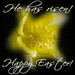 He Has Risen