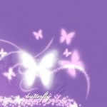Purple Butterfly