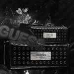 Guess