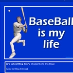 Baseball Life