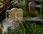 The Cemetery