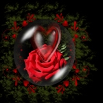 Rose Heart