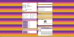 Purple Pink Gold Yellow