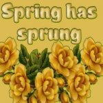 Spring Has Sprung