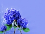Flower Blue