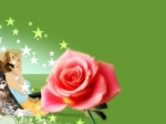 Star Flower