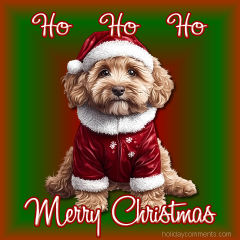 Preview of holiday pictures