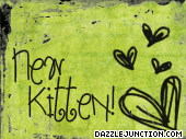Kitten Green Album