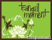 Tranquil Moment Lotus
