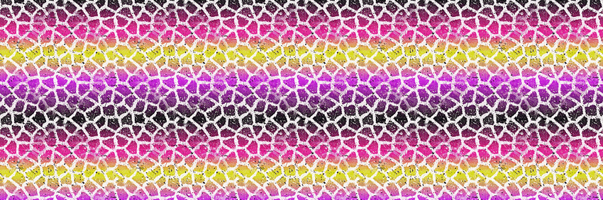 Animal Print Twitter Header